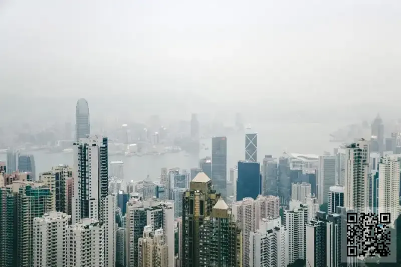 利華聯合(香港)貿易有限公司