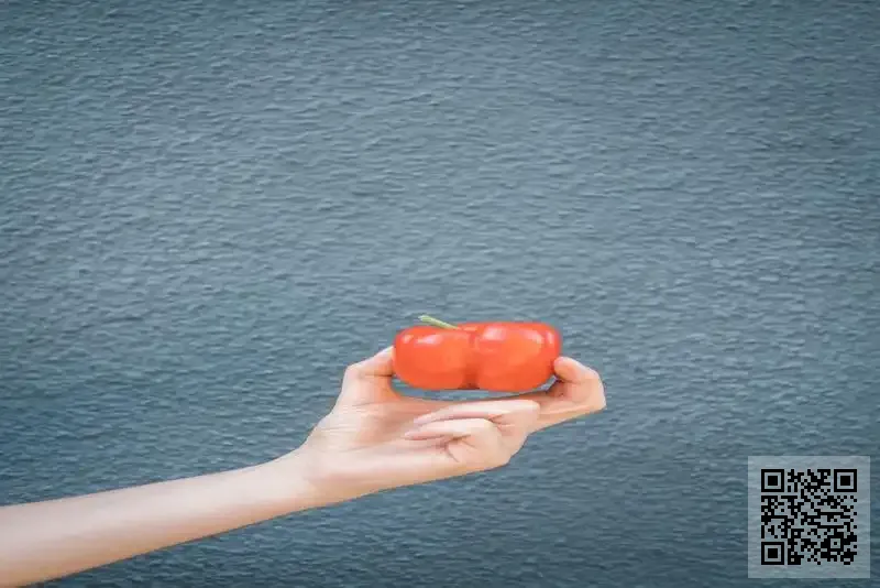 KX Smart Cargo Holdings Limited