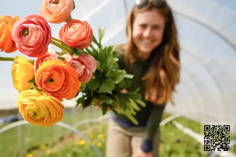 臺灣歐菲縫紉設備有限公司