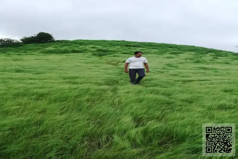 海科集團有限公司