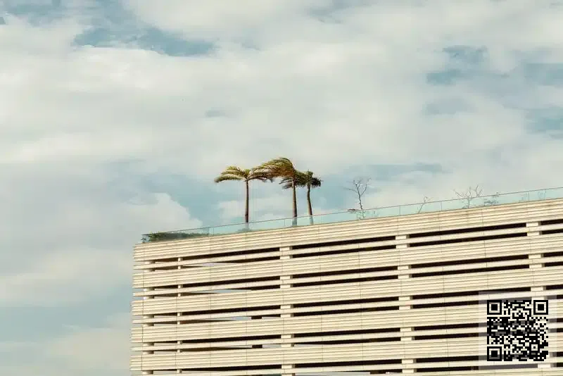 鉑揚國際貿易有限公司