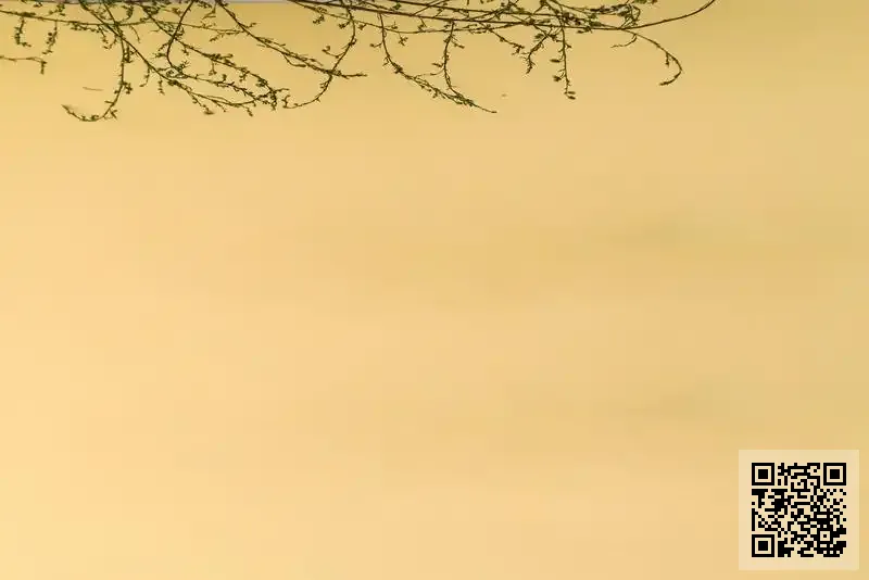 香港虹道貿易有限公司