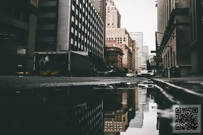 法國愛琳瑪蓮美容保健有限公司