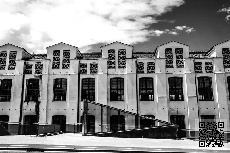 DIGITAL CREATURE LIMITED