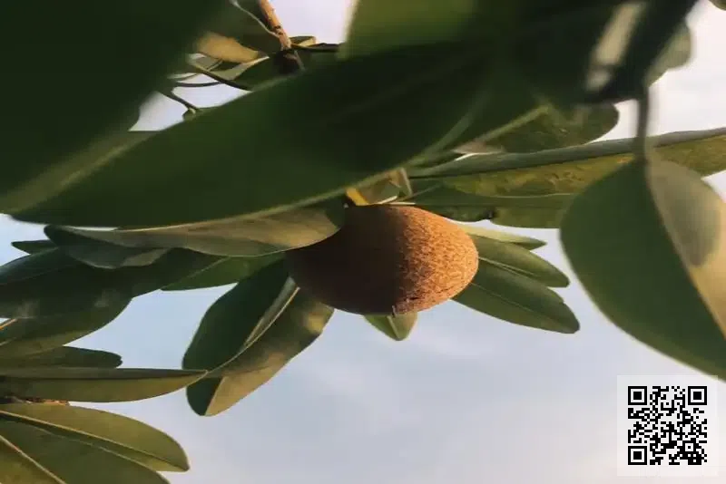 錦昊貿易有限公司