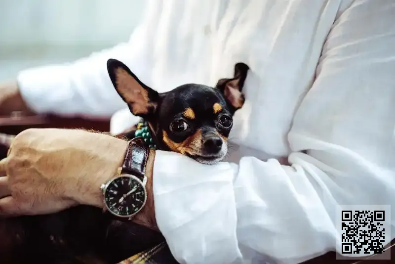 香港爽奇食品有限公司