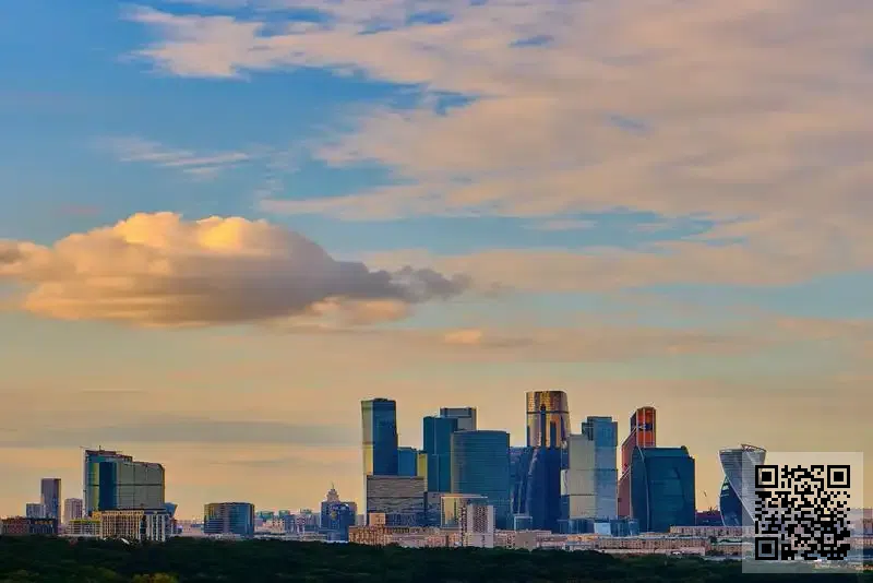 中國恒欣貿易有限公司