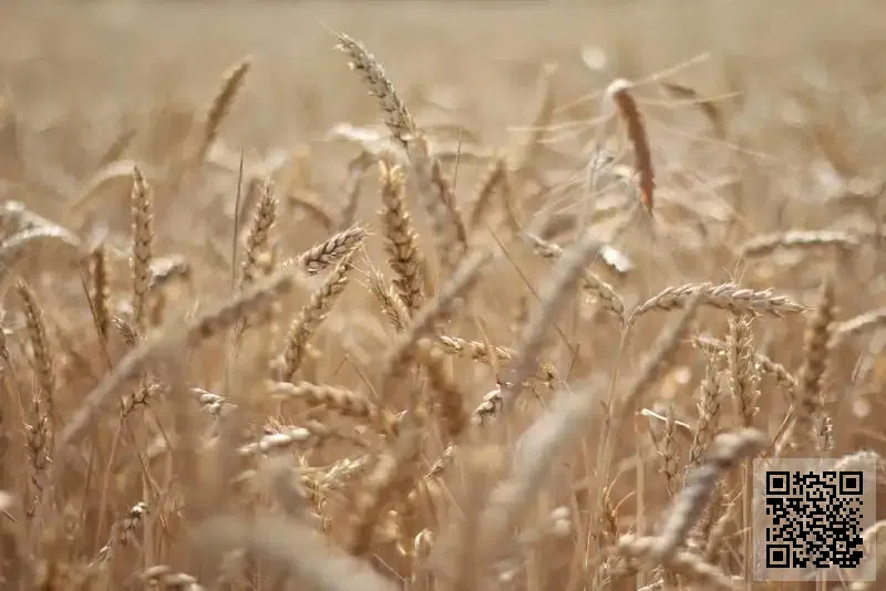 香港慧强葯品醫療器械有限公司
