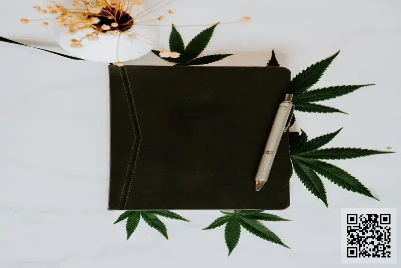 中國孕嬰童服務有限公司