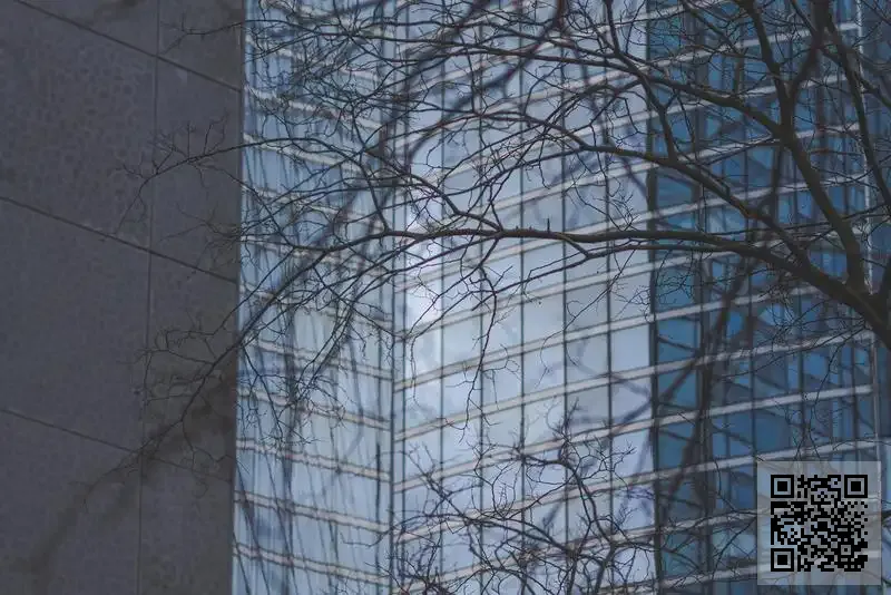 先創管理香港有限公司