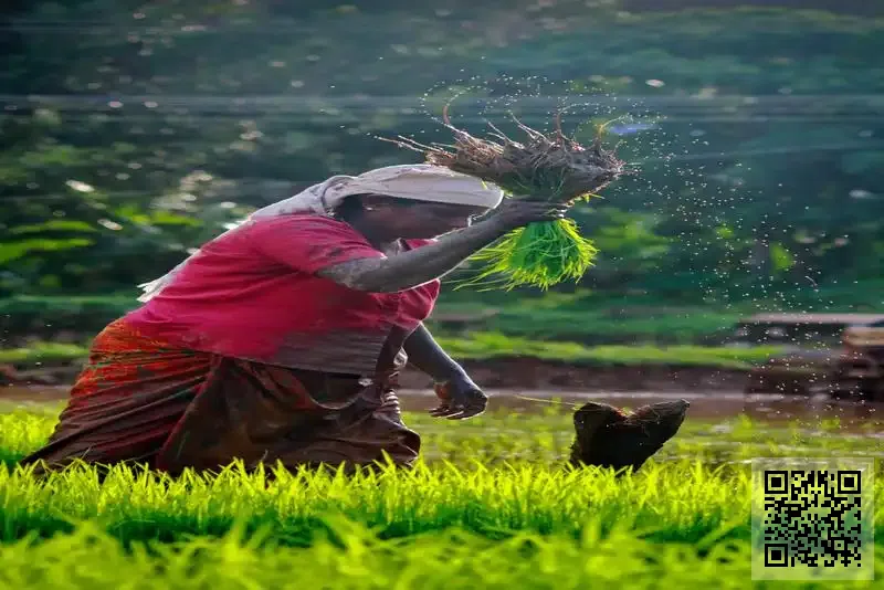 飛駿國際有限公司