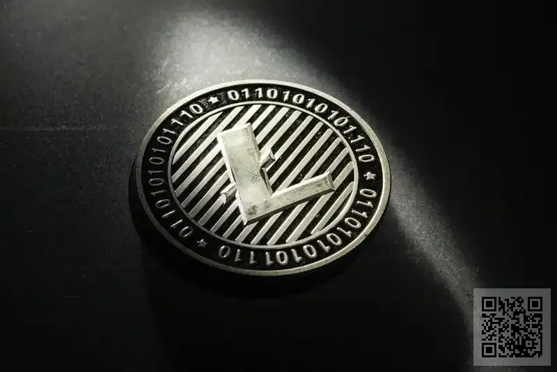 洛陽鉬業控股有限公司