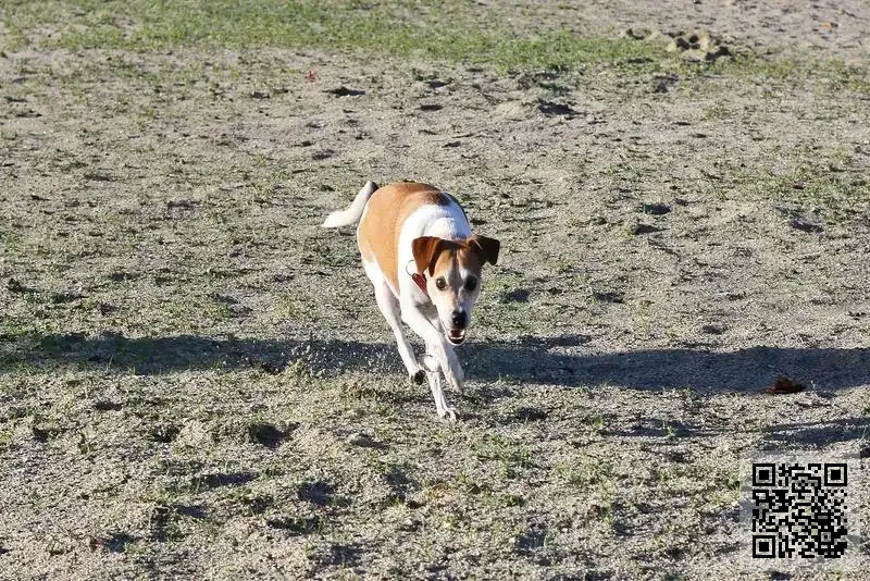 Casa Nuova Group Limited