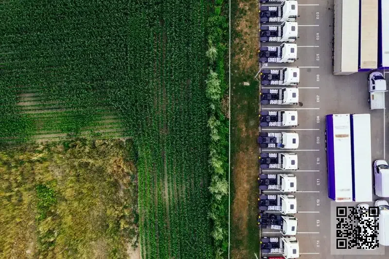 XIIA MANAGEMENT LIMITED