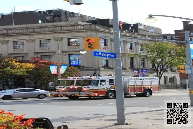 阿魯莎(香港)國際旅遊有限公司