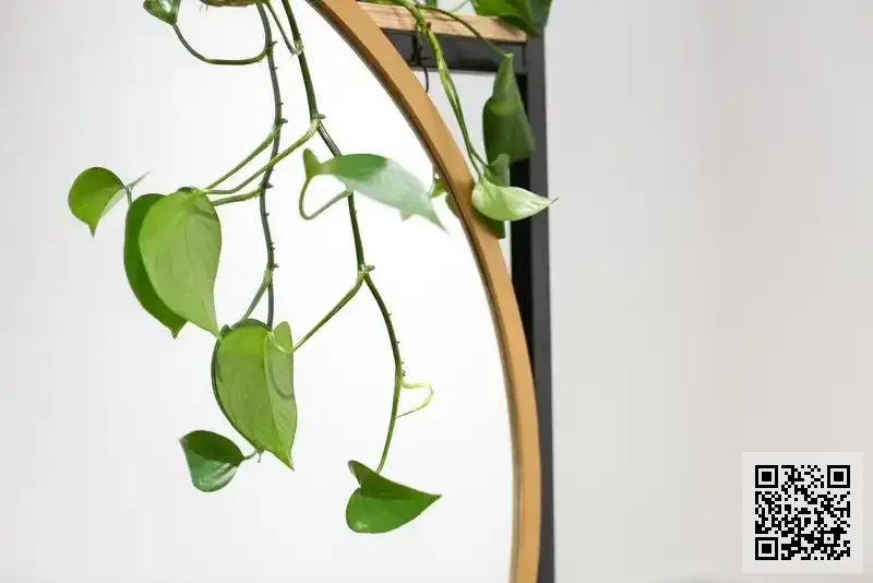 香港金磚發展有限公司