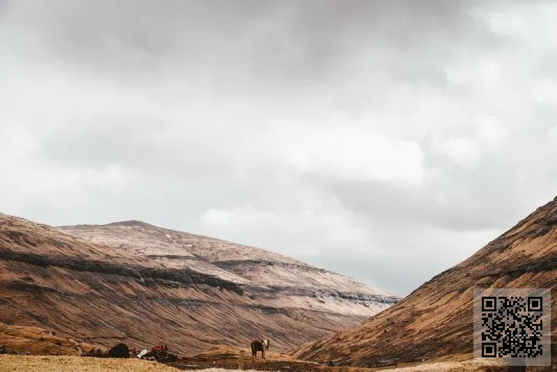 怡華玻璃有限公司