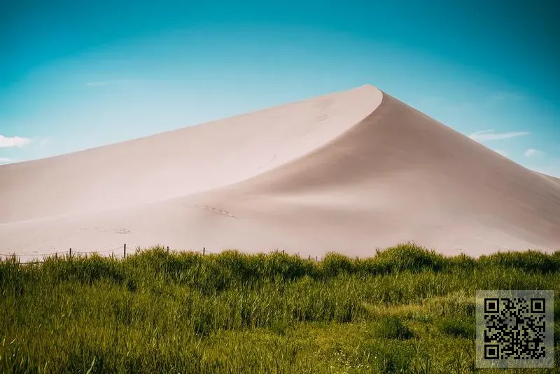 HBC INTERNATIONAL CO., LIMITED