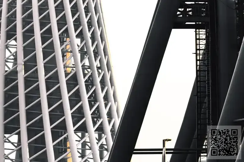 香港中龍國際投資集團有限公司