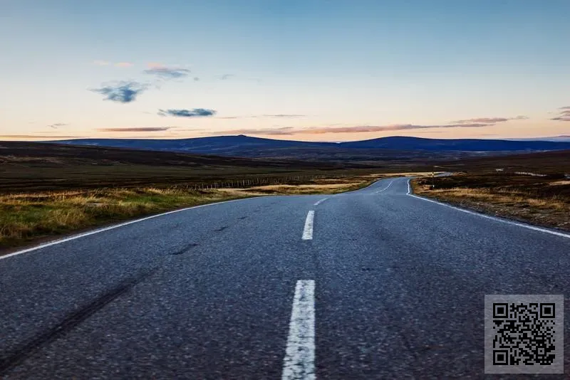 香港芮凱商貿(國際)有限公司