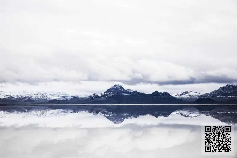 卓思環球商務有限公司