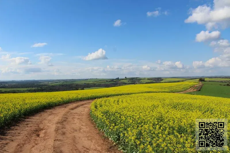 益成亞太有限公司