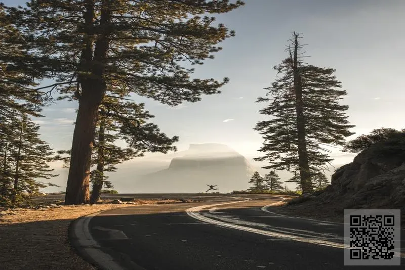 博瑞商貿有限公司
