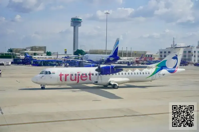 香港新月電子集團有限公司