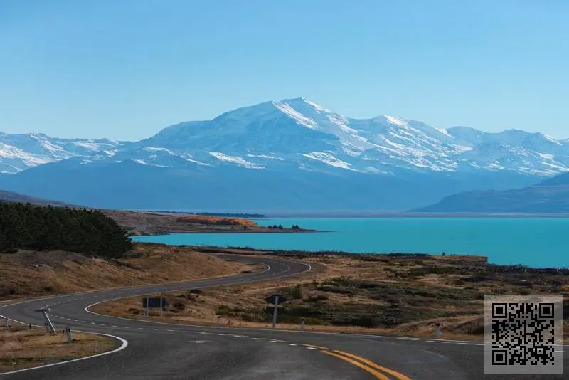 偉立(香港)投資集團有限公司