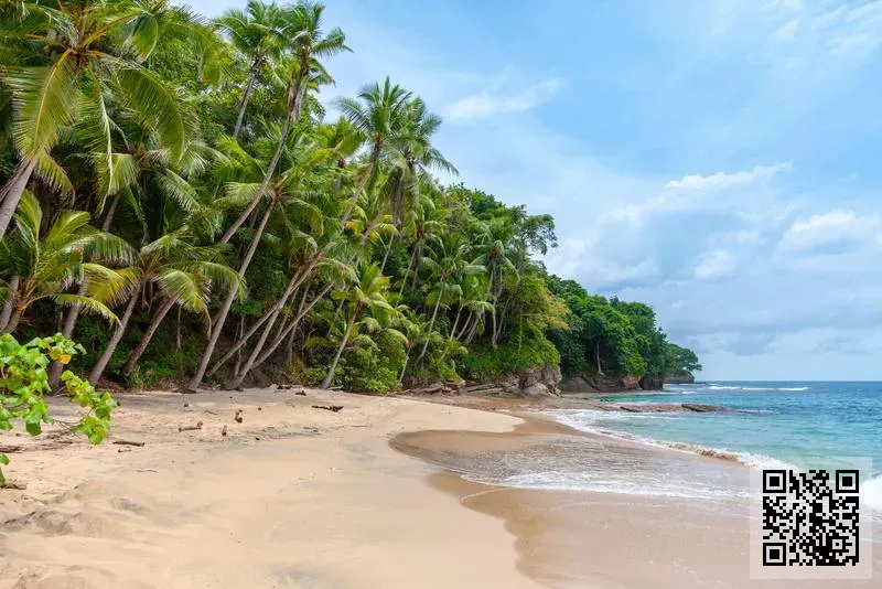 Tianjin Jinguang International Trade Co., Limited