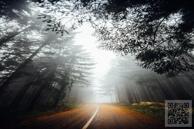 香港青少年科技基金會有限公司