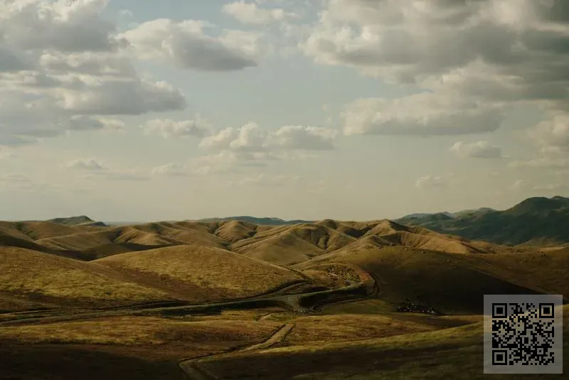 恒威信有限公司