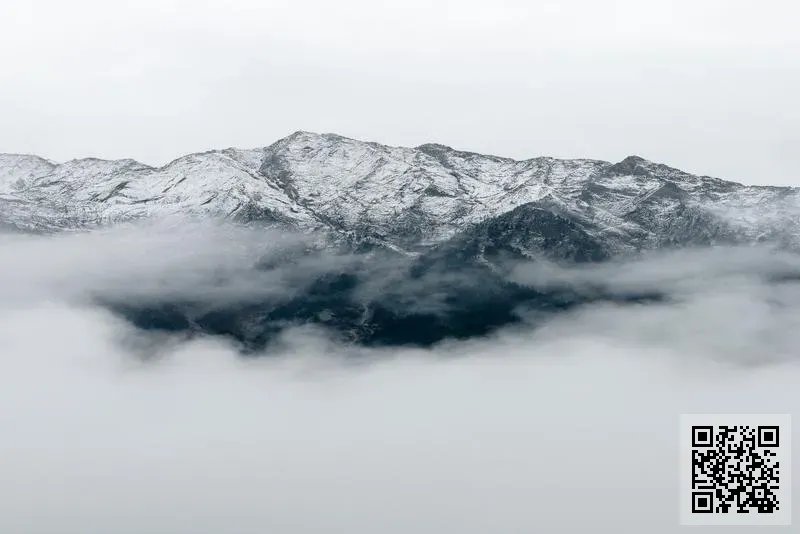 香港聚美電子國際有限公司