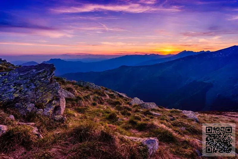 GROWTRADE INVESTMENTS LIMITED