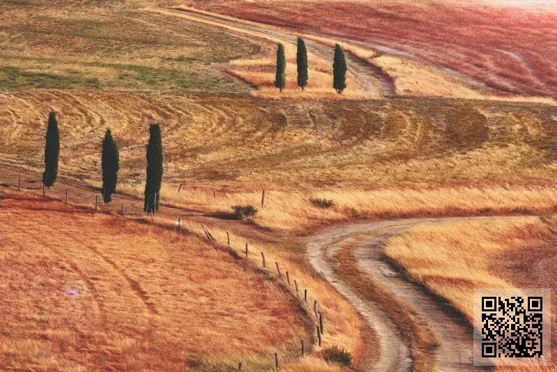 UNITED EFFORTS LIMITED