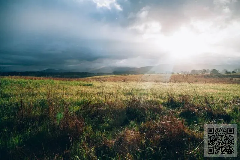 宏視概念有限公司