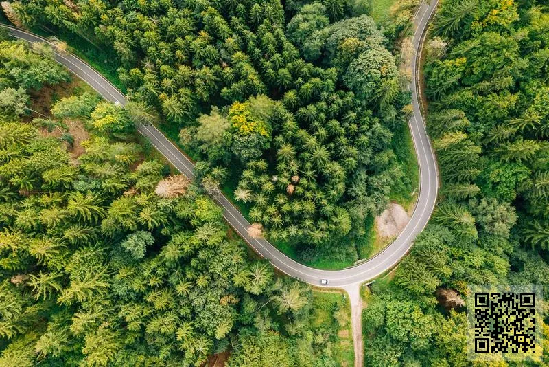 高迪亞洲有限公司