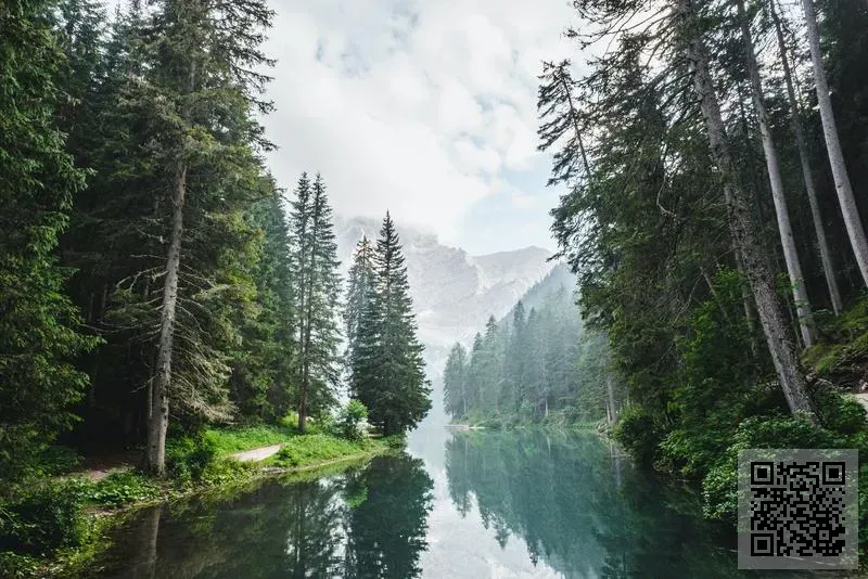 神州海運有限公司