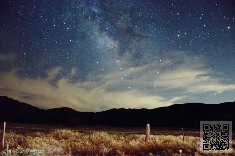 中國經濟文化發展研究會有限公司