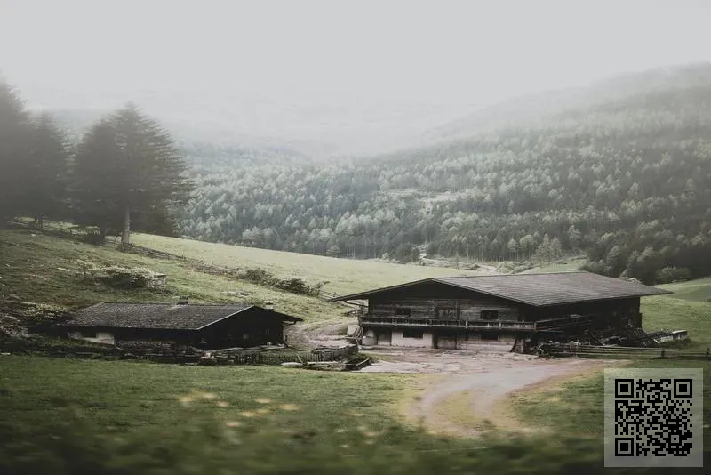 香港晟寶龍投資有限公司