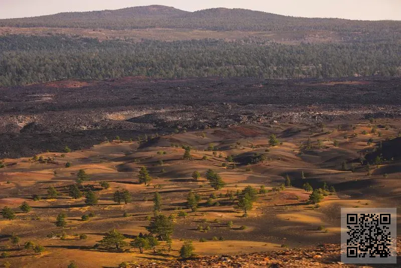 其利服飾有限公司