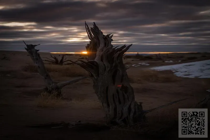 香港聞恒國際貿易有限公司