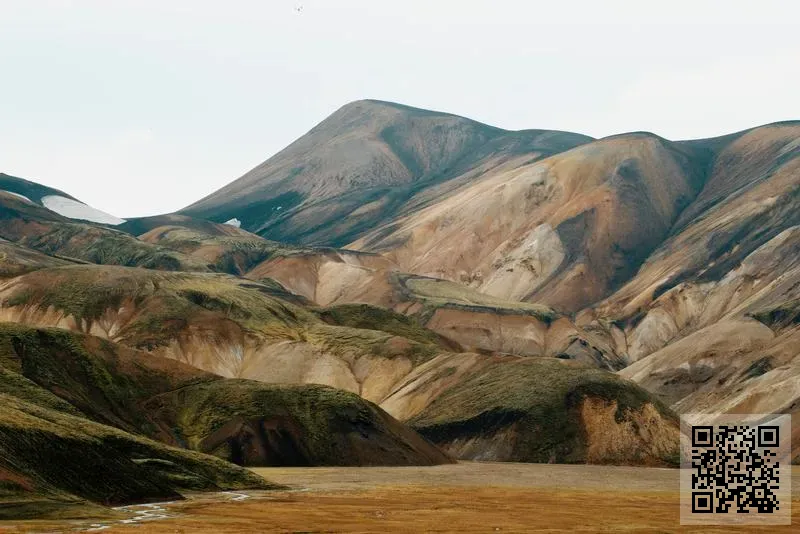 泊亞工業技術(香港)有限公司