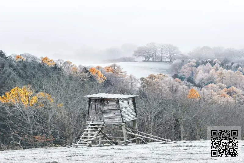 瑞唐物產集團(中國)有限公司