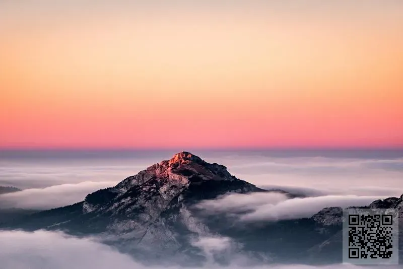 中國軍事模型收藏品集團(股份)有限公司