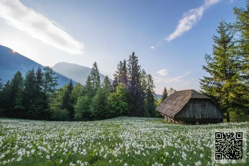 恒星能源亞洲投資有限公司