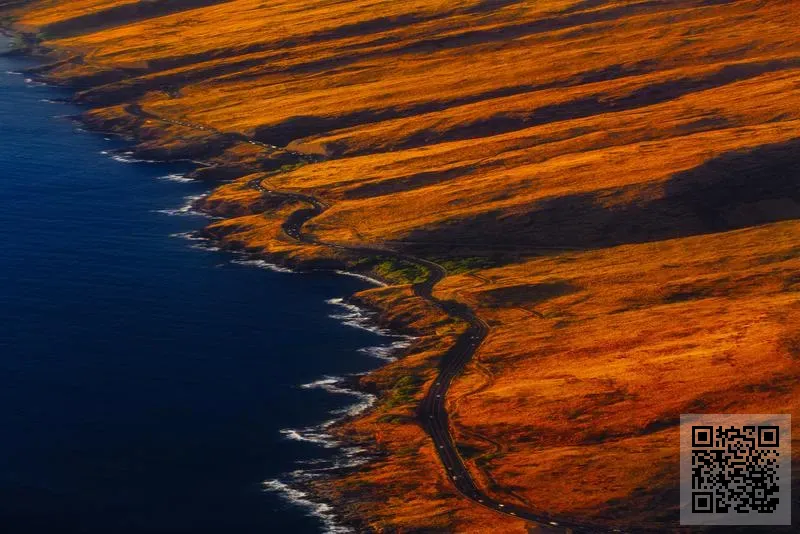 燈麗國際有限公司