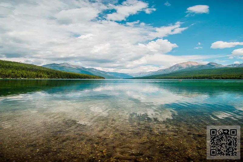 千絲貂國際有限公司