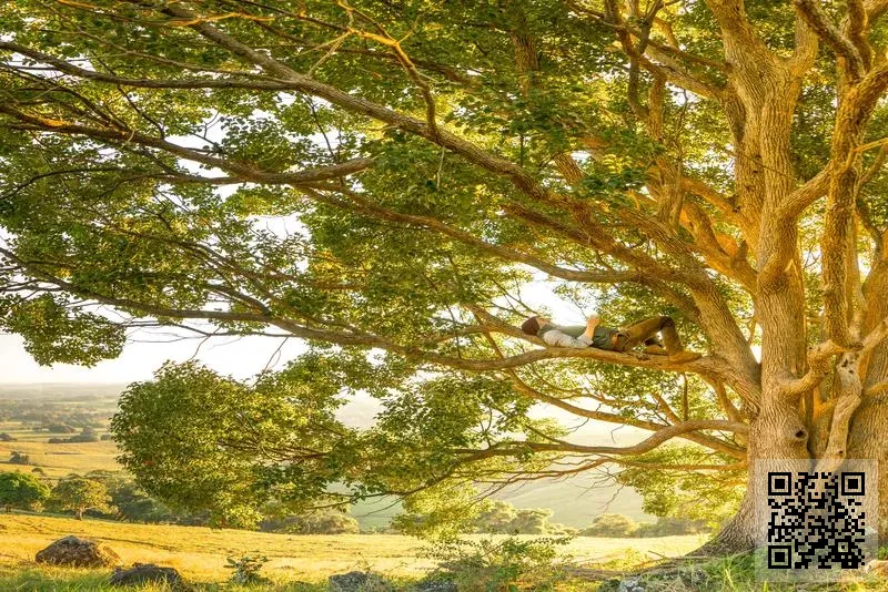 無窮大科技(香港)有限公司