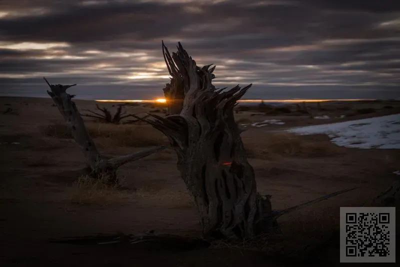 香港戈堡電子貿易有限公司
